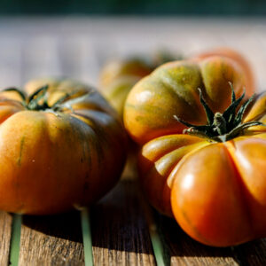 Tomatoes - Thorburn's Terracotta