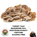 Turkey Tale Mushroom Full Spectrum Extract Tincture
