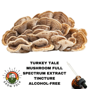 Turkey Tale Mushroom Full Spectrum Extract Tincture