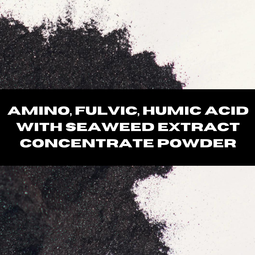 Amino, Fulvic, Humic, Seaweed Extract Powder 1 Amino, Fulvic, Humic, Seaweed Extract Powder