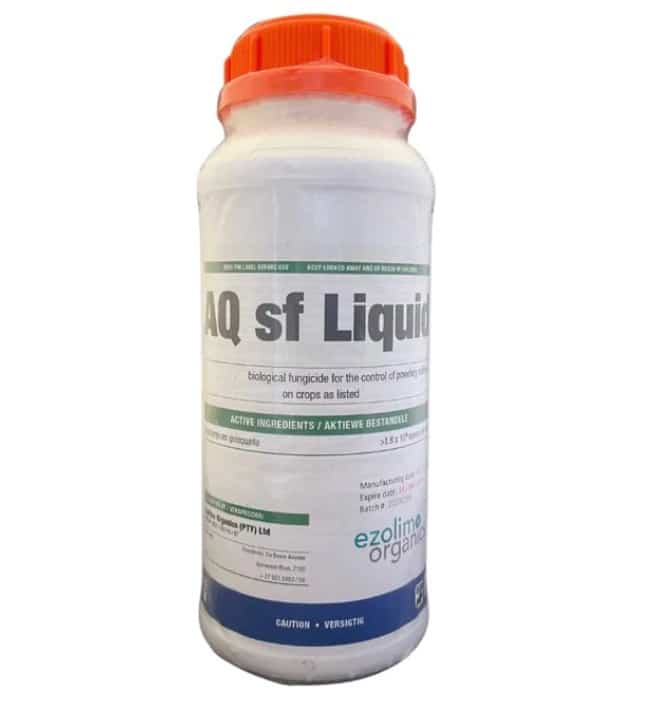 AQ sf (Ampelomyces Quisqualis) Biological Fungicide 1 AQ sf (Ampelomyces Quisqualis) Biological Fungicide
