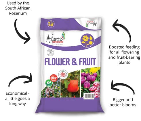 Bio Flower & Fruit 1 Bio Flower & Fruit