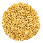 Barley Grass Microgreens and Sprouting Seed 750G