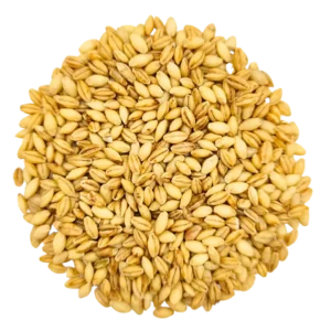 Barley Grass Microgreens and Sprouting Seed 750G