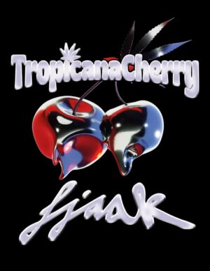 Tropicana Cherry Feminised - 5 pack