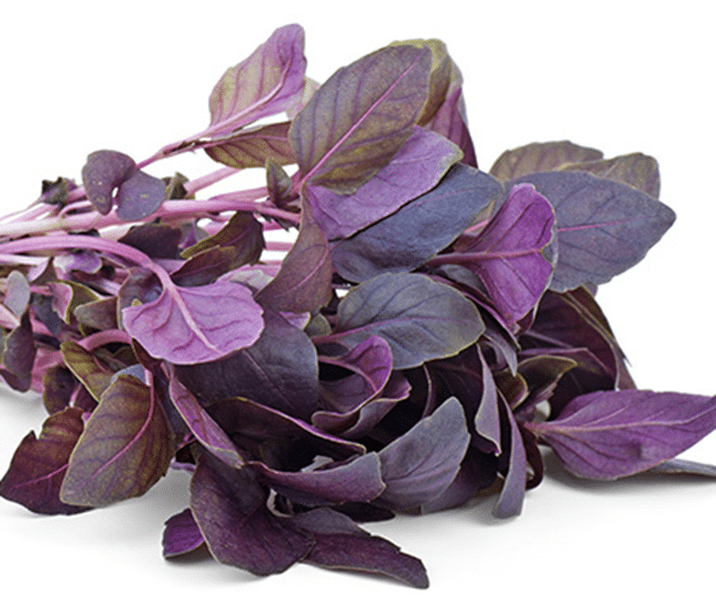 Basil - Red Rubin Purple - Heirloom Seeds 1 Basil - Red Rubin Purple - Heirloom Seeds