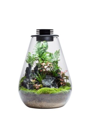 Terrarium Glass Bio Bottle 5.3L with LED Light