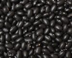 Beans - Bush - Brazilian Black