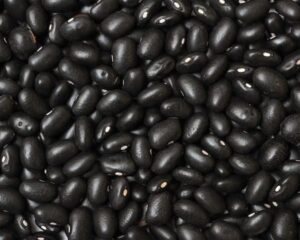 Beans - Bush - Brazilian Black