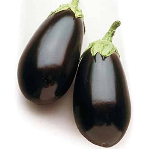 Brinjal Eggplant - Night Shadow - Organic Seeds 1 Brinjal Eggplant - Night Shadow - Organic Seeds