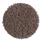 Broccoli Sprouting Seed 250G