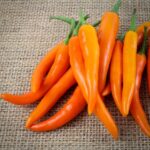 Chillies - Bulgarian Carrot