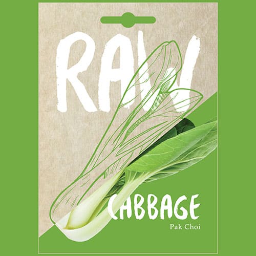 Cabbage Pak Choi 1 Cabbage Pak Choi