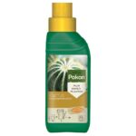 Cactus Plant Food 250ml