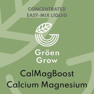 CalMag Boost - Calsium Magnesium Supplement