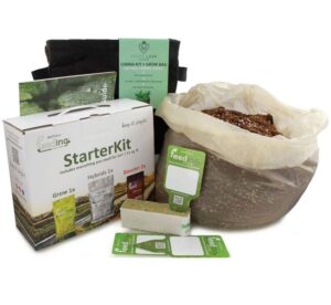 Green House Feeding & White Lion Grow Kit