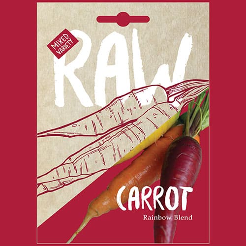 Carrot Rainbow Blend 1 Carrot Rainbow Blend