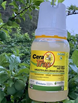 Cera Biological Fruit Fly Trap Bait Refill