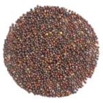 Chinese Cabbage Microgreens and Sprouting Seed 250G