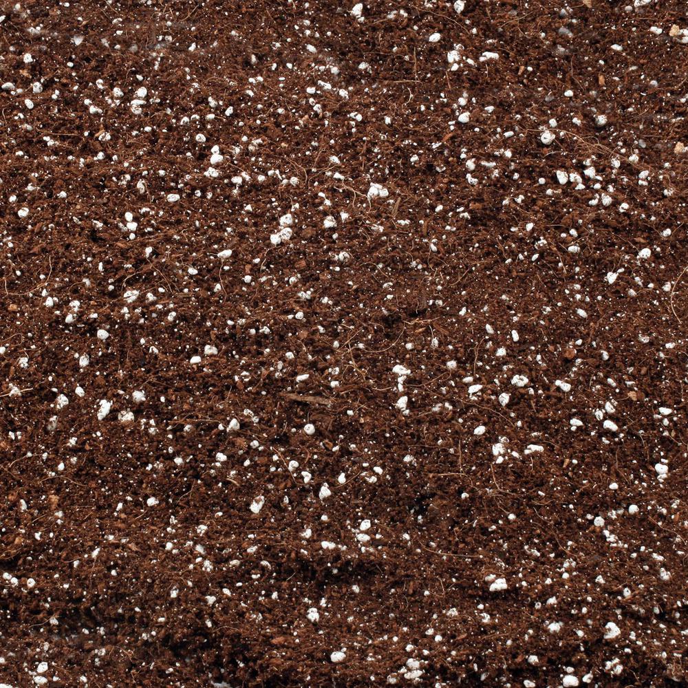 Premium Grow Medium: Coco Coir Perlite Blend - 20L 1 Premium Grow Medium: Coco Coir Perlite Blend - 20L
