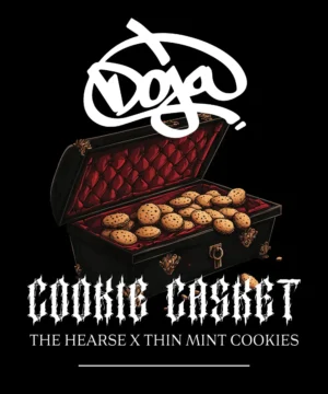 Cookie Casket Feminised - 5 pack