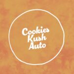 Cookies Kush Auto Seed 3+1