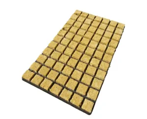 77 Rockwool Cubes 35MM In Tray