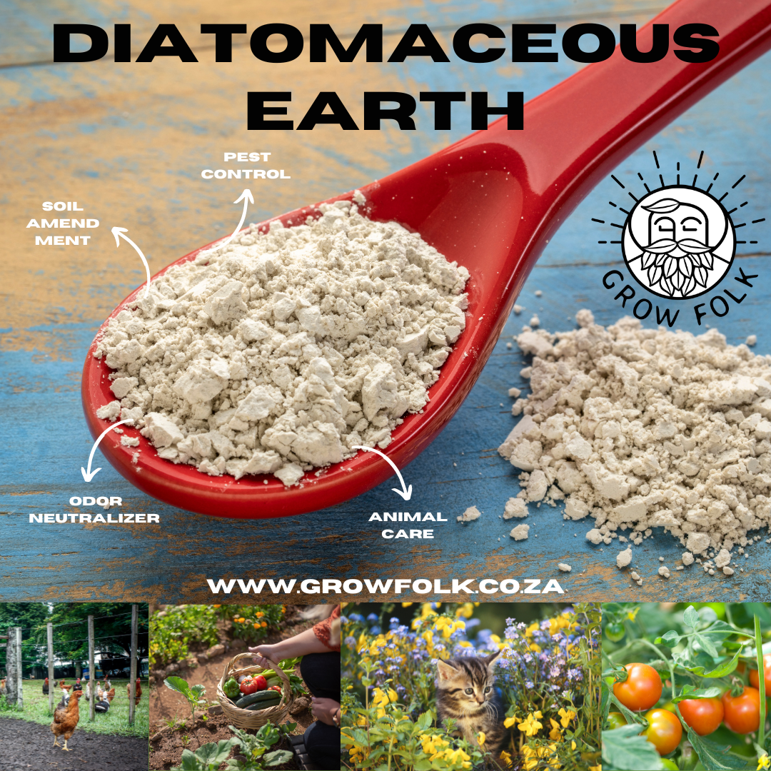 Diatomaceous Earth 1 Diatomaceous Earth