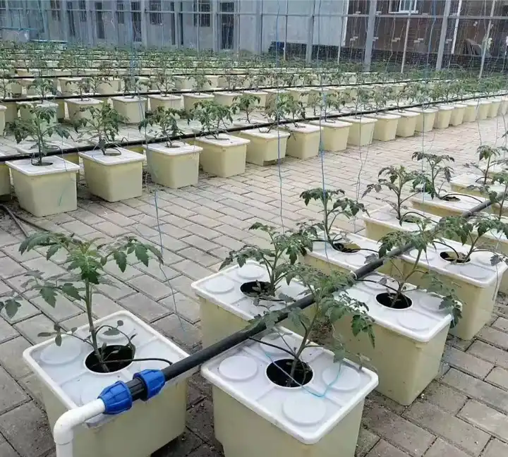 Dutch Bato Bucket 11L with Cover and Net Pot Set 4 Dutch Bato Bucket 11L with Cover and Net Pot Set - Image 4