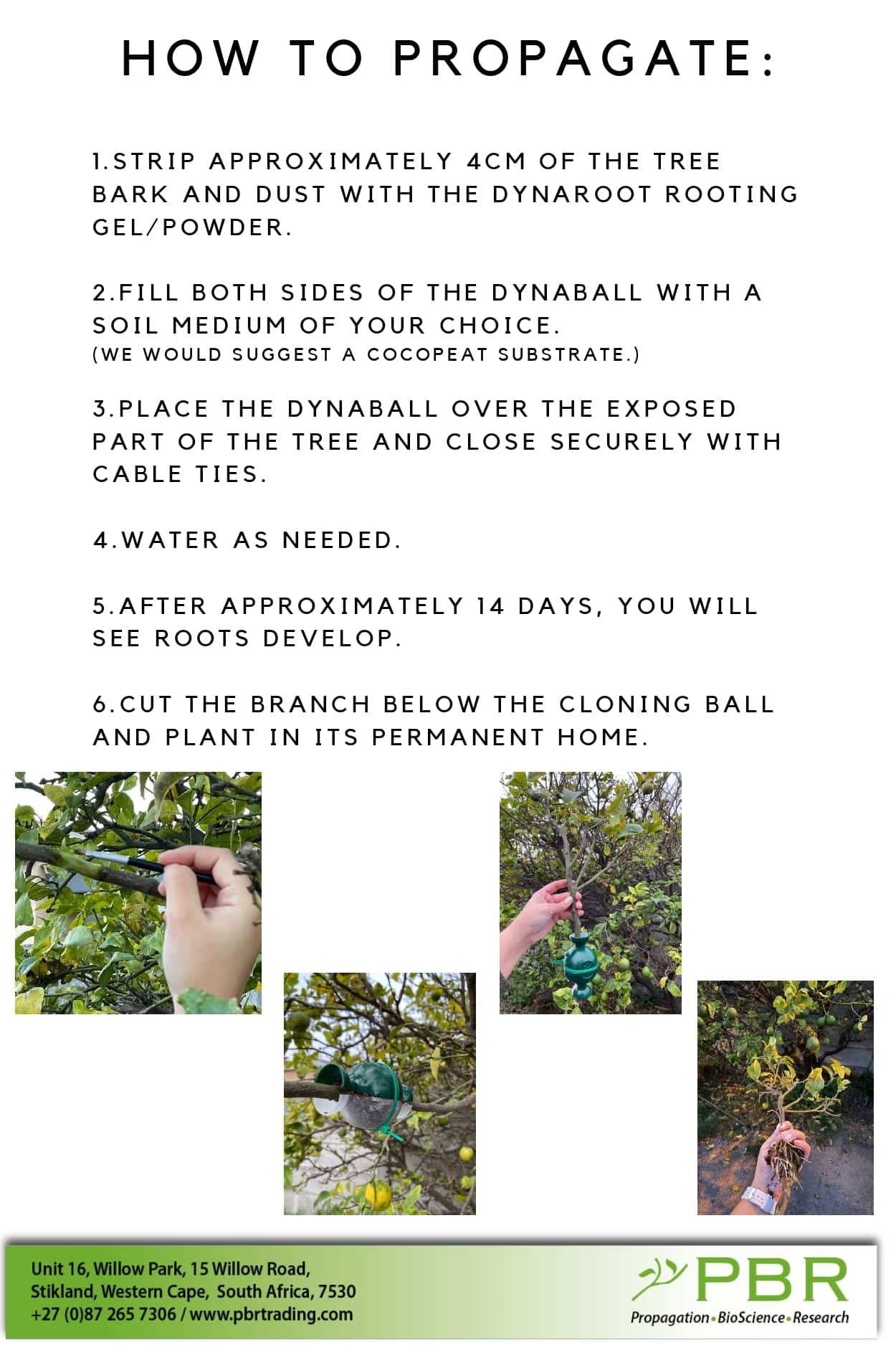 DynaBall Cloning Ball 3 DynaBall Cloning Ball - Image 3