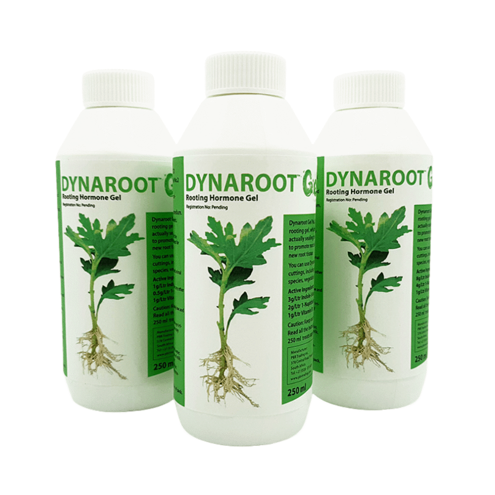 Dynaroot DynaRoot Rooting Gel No1 – GROW FOLK