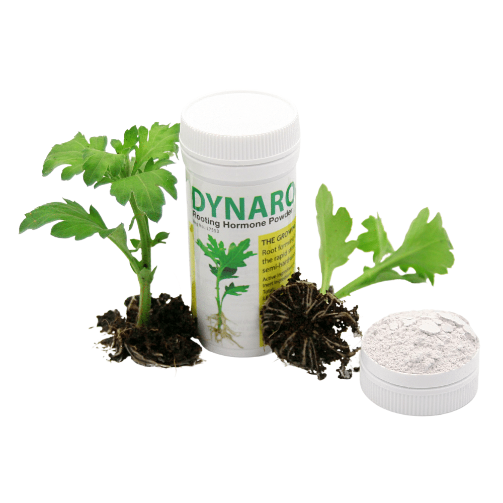 DynaRoot Rooting Powder No1 30g 1 DynaRoot Rooting Powder No1 30g