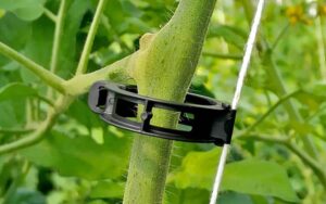 Easy Clips Vine Cucumber Tomato Support - Pack of 10, 100 or 1000