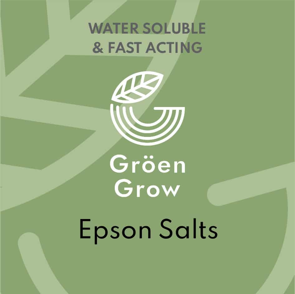 Epsom Salts 1 Epsom Salts