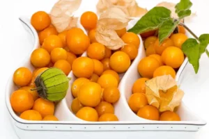 Fruits - Cape Gooseberry - Heirloom Seeds