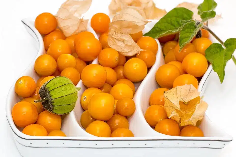 Fruits - Cape Gooseberry - Heirloom Seeds 1 Fruits - Cape Gooseberry - Heirloom Seeds