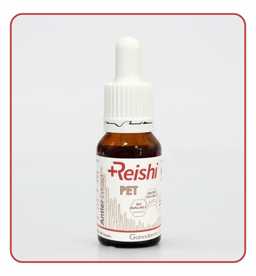 GanodermaGOLD: PET Mushroom Reishi for Pets (15ml) 1 GanodermaGOLD: PET Mushroom Reishi for Pets (15ml)