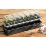 Self Watering Propagator