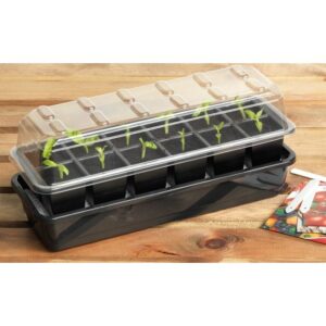 Self Watering Propagator