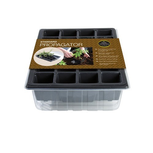 Standard Propagator 1 Standard Propagator