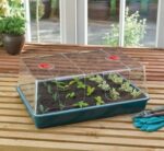 XL High Dome Propagator