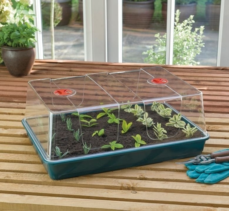 XL High Dome Propagator 1 XL High Dome Propagator