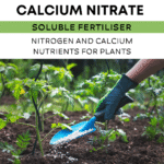 Calcium Nitrate Soluble Fertiliser