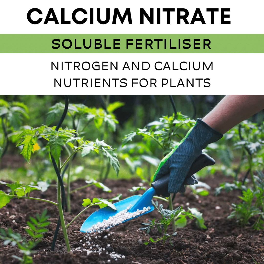 Calcium Nitrate Soluble Fertiliser 1 Calcium Nitrate Soluble Fertiliser