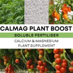 CalMag Plant Boost - Calcium Magnesium Supplement
