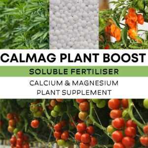 CalMag Plant Boost - Calcium Magnesium Supplement