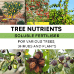 Tree Soluble Nutrient Fertiliser