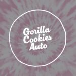 Gorilla Cookies Auto Seed 3+1