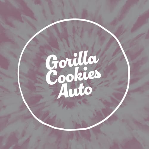 Gorilla Cookies Auto Seed 3+1 1 Gorilla Cookies Auto Seed 3+1