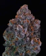 Green Apple Candy Feminised Seed 3+1